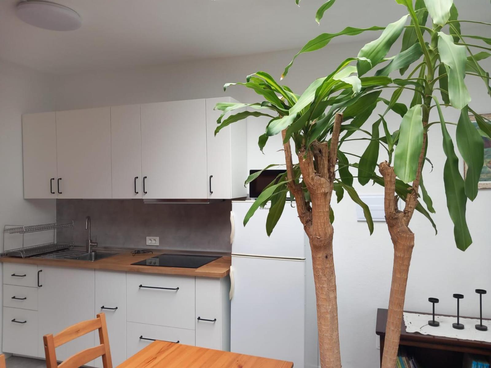 Vivienda Vacacional Casa Rosi 弗龙特拉 外观 照片
